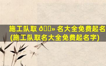 施工队取 🌻 名大全免费起名(施工队取名大全免费起名字)